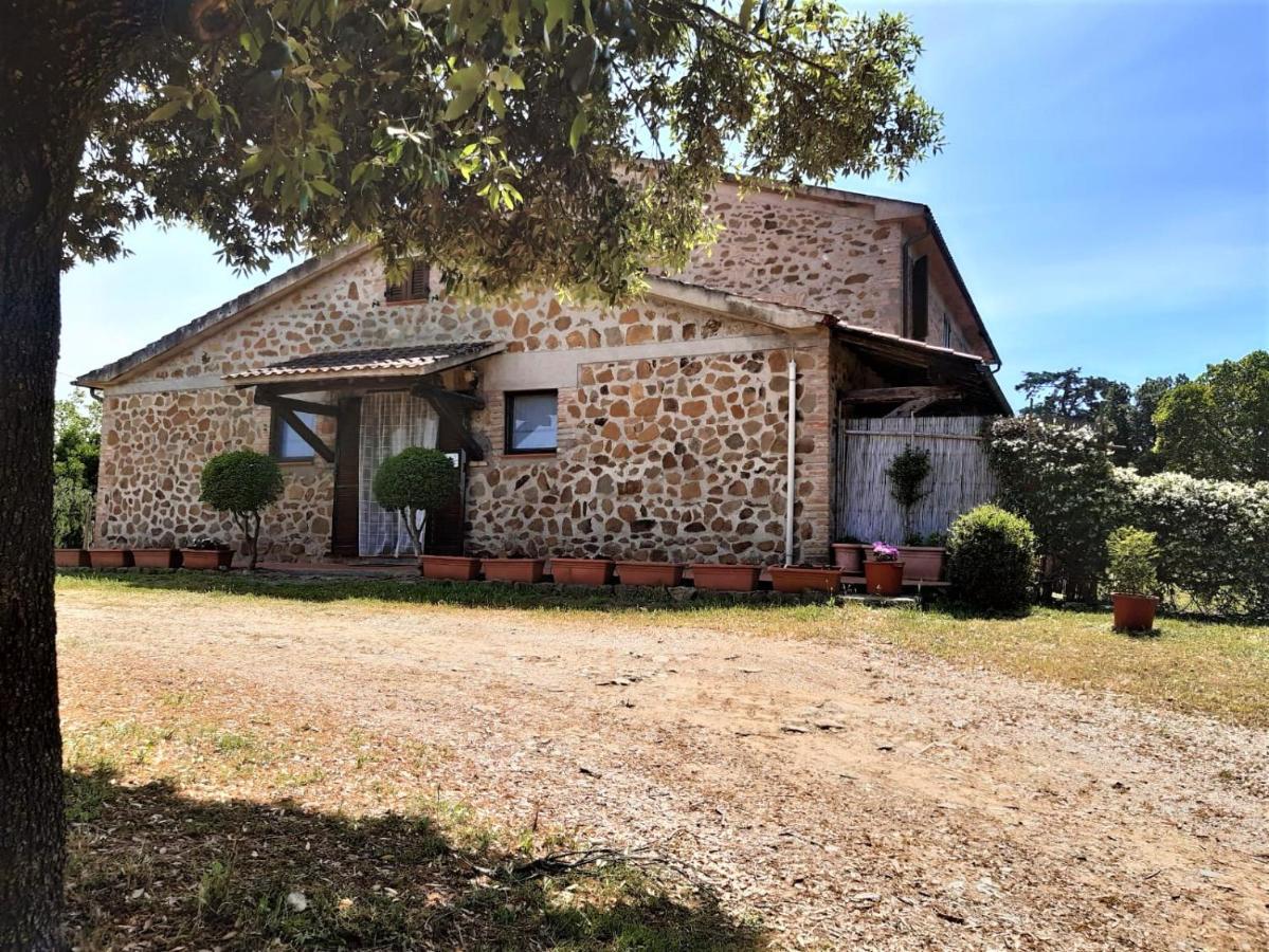 Bed & Breakfast Malpasso Magliano in Toscana